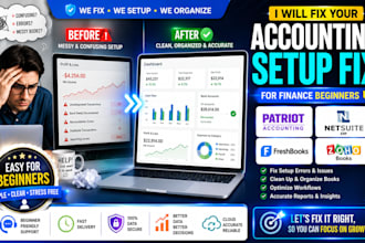 setup patriot accounting, netsuite erp and zoho books pain for finance beginners