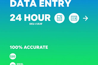 do fast and accurate excel data entry, web research, PDF to excel