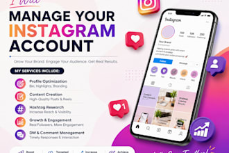 manage your instagram professionly