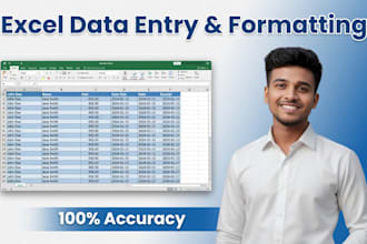 excel data entry and spreadsheet formatting