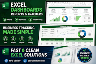 create excel budget trackers and business reports