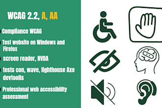 perform a web accessibility audit and wcag compliance