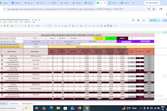 professional excel dashboards and mis reports