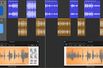 you will get clip removal, metallic sound, enhance audio, voice,  noise remova