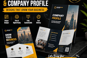 design professional flyer and brochure or company profile