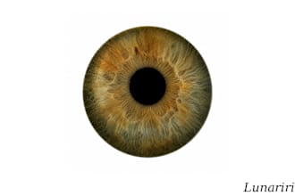 aesthetic eye art designs in canva
