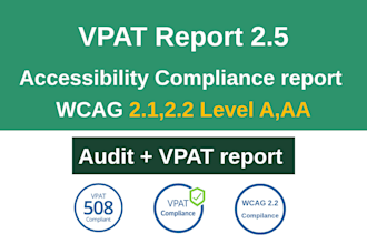 create a comprehensive vpat accessibility report for your website