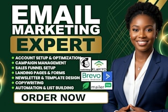 setup mailchimp email marketing flows, newsletters, email campaign and klaviyo