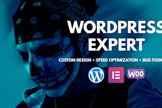 design a professional wordpress website or woocommerce store