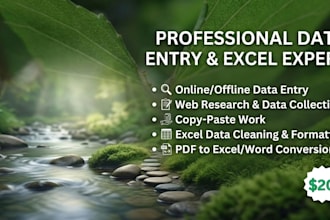 do professional data entry and excel spreadsheet work