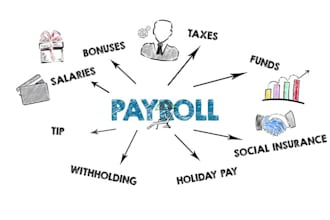 provide professional payroll management services