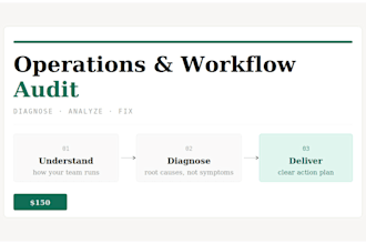 audit your business operations pointing what is broken and why