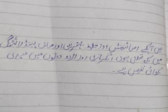 provide neat and clean professional handwriting services