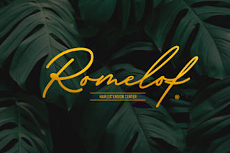 design a professional logo for your brand with 24h delivery