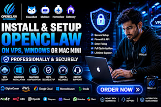 install and setup openclaw on vps window or mac mini professionally