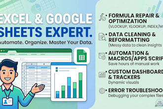 be your professional excel and google sheets expert