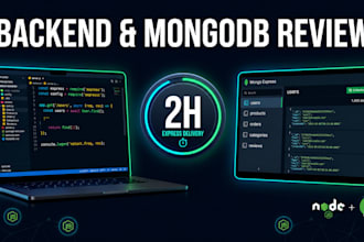 conduct a 2 hour backend code and mongodb database review