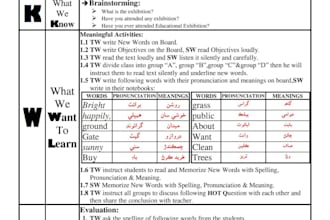 do fastest typing work, data entry and copy paste