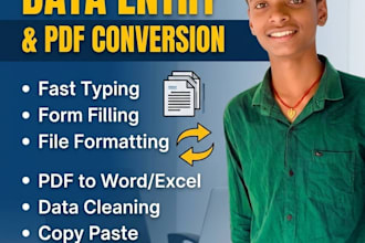 do data entry ,web reserch,pdf conversion and more