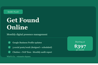 handle the full SEO optimization for your website