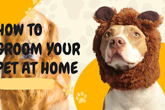 create engaging pet social media content for your pet brand