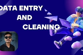 excel data entry and excel data cleaning data cleanup