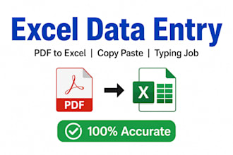 do excel data entry, PDF to excel, copy paste