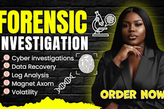 do digital forensic, fraud investigation, and financial analysis report