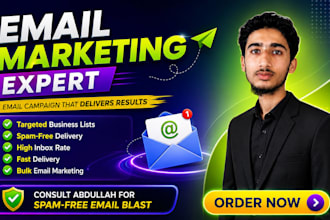 send 100,000 bulk email blast and email marketing campaign