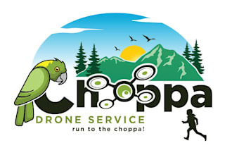 create a professional drone business logo design