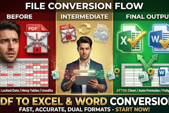 do PDF to excel, PDF to word, and data entry conversion