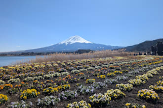 japanese translation by native speaker