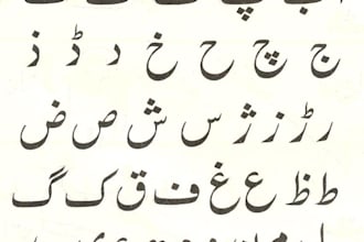 do professional urdu writing and translation