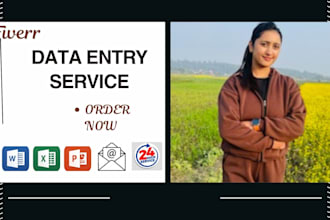 provide data entry service