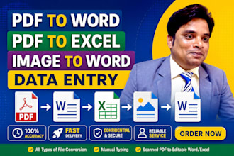 convert PDF to word, PDF to excel, image to text manually