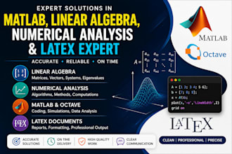 do professional matlab, latex and numerical analysis