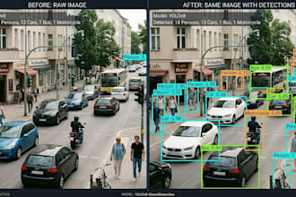 build custom yolo and CNN models for real time object detection