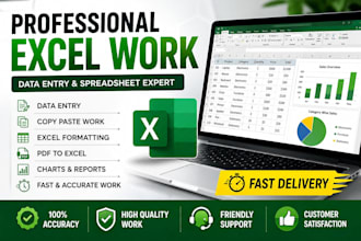 professional excel data entry, formatting and spreadsheet work