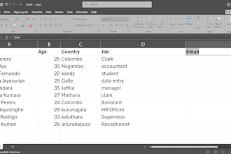 do professional excel data entry and copy paste work