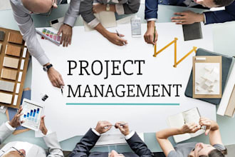 write blog articles on project management  and business