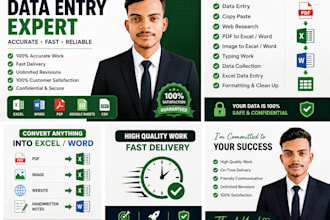 data entry , data formating excel sheet and etc