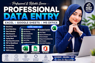 do excel data entry and ms office work