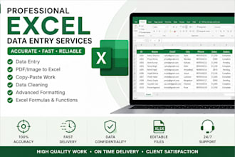 do microsoft excel data entry and formatting