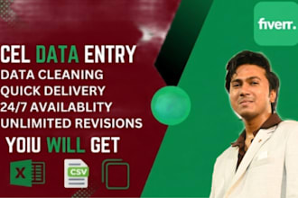 do professional excel formatting, data cleaning, and spreadsheet design