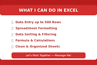 excel data entry and spreadsheetformatting