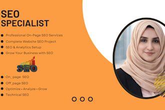 do professional on page SEO for wordpress websites