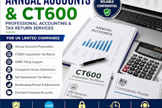 file UK company accounts ct600 and self assessment