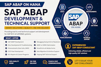 provide sap abap development and technical support