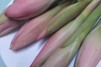 share my authentic malaysian torch ginger sambal recipe