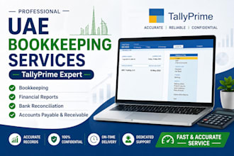 do uae accounting, bookkeeping and tallyprime data entry